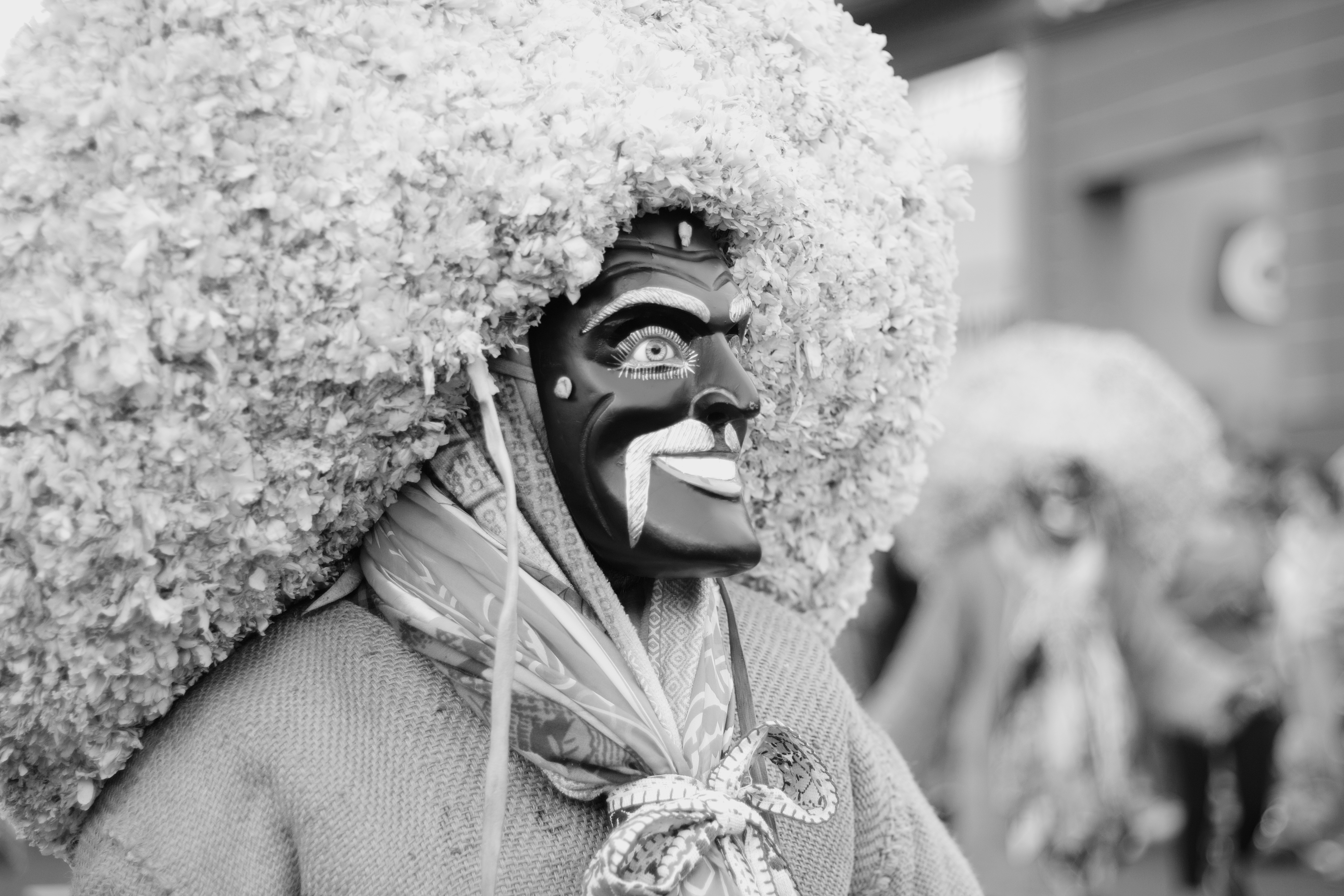 Tlacololero en pluviosilla
